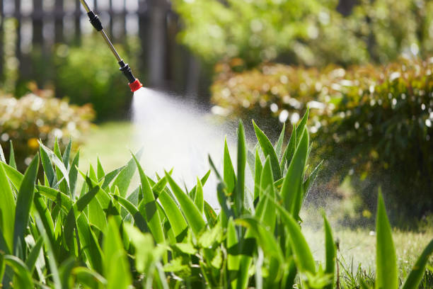 Tamper-Resistant Bait Stations for Rodents in Flandreau