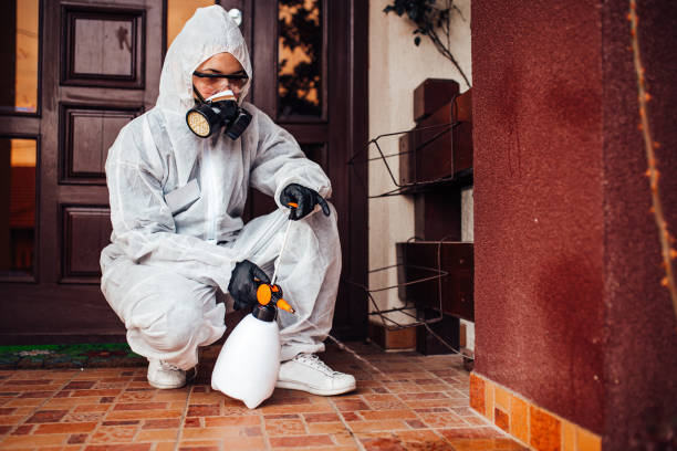 Attic and Crawl Space Rodent Treatment in Flandreau